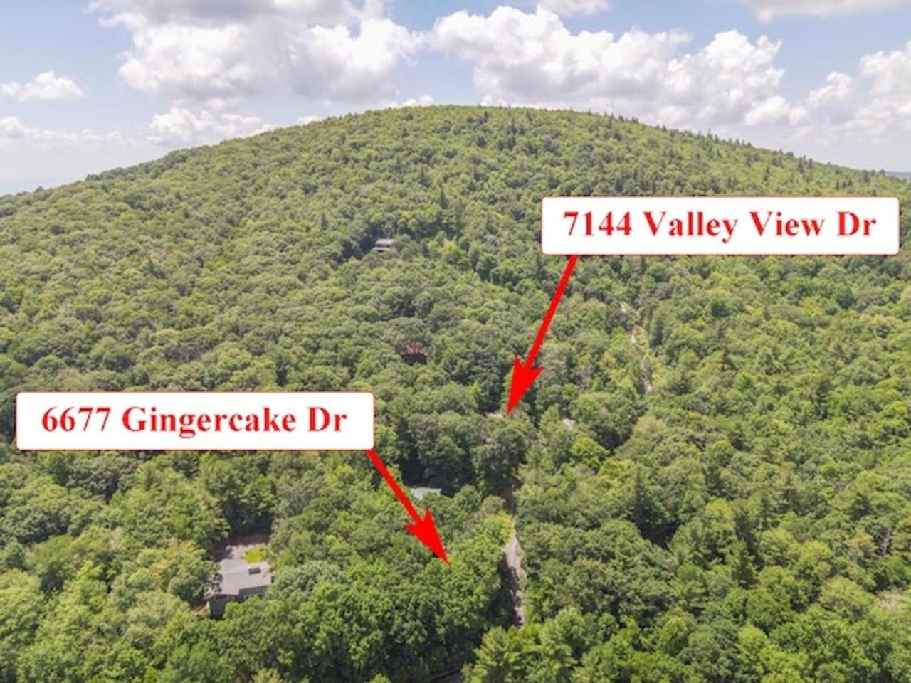 Gingercake Mtn Cottage At Linville Gorge - Wood Burning Fireplace Linville Falls Exterior foto